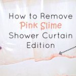 How to Clean Pink Mold From The Shower