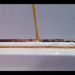 How to Kill and Get Rid of Mold in Shower Caulking