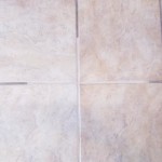 how to remove black mold from shower tile grout