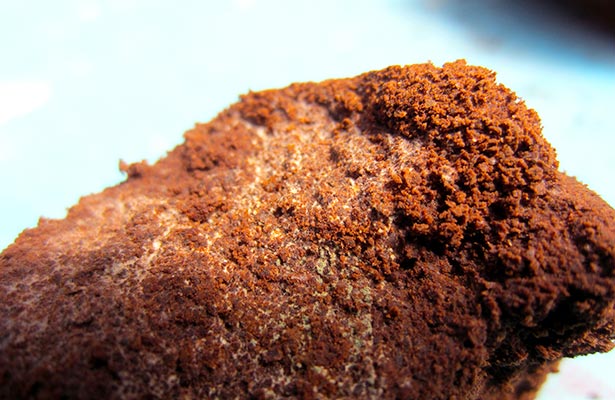 Orange Mold On Coffee Grounds