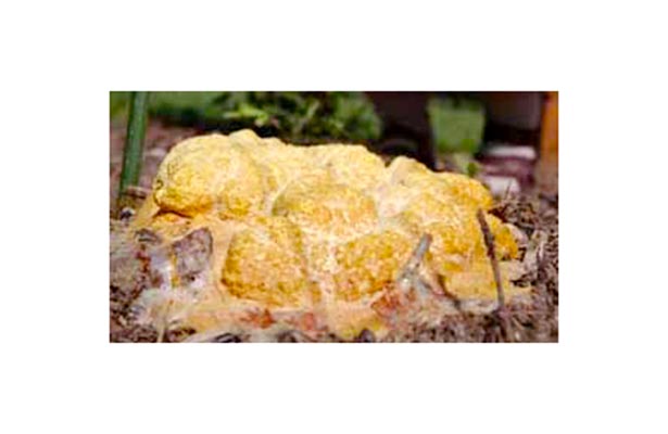 orange fungus in garden soil