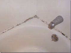 1 How To Get Rid Of Mold Around Tub