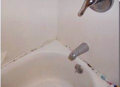 2 How To Get Rid Of Mold Around Tub