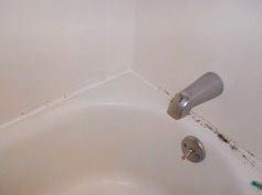 3 How To Get Rid Of Mold Around Tub
