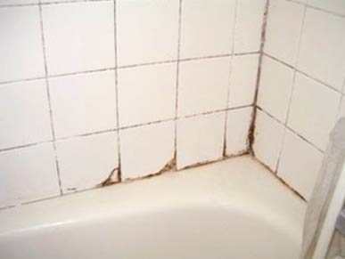Bathroom Grout From Mold