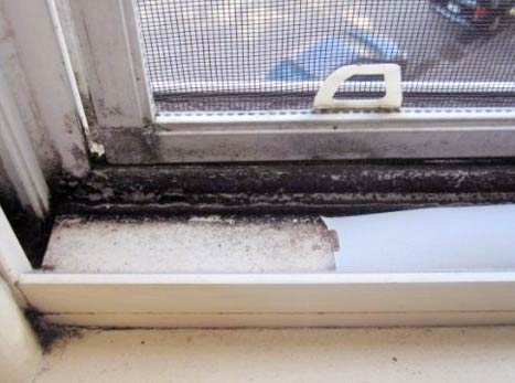 How To Clean Mold and Mildew From Window Sill