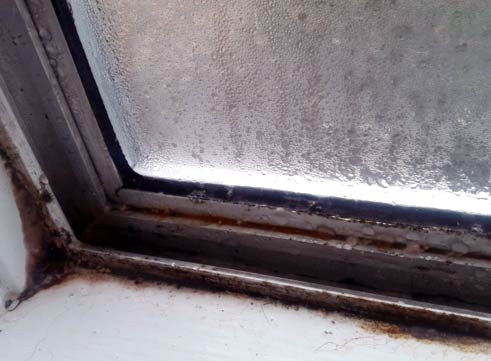 how to clean mold in window sill