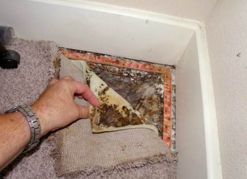 Symptoms Of Mold In Your Home