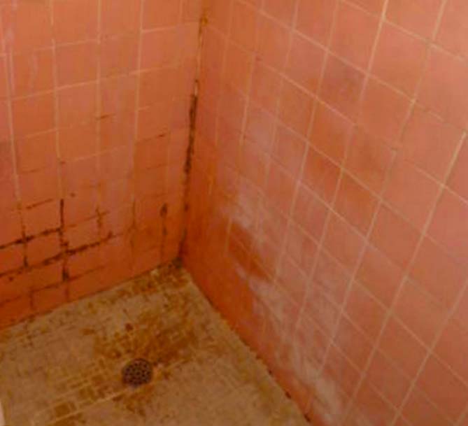 what causes mold in bathroom
