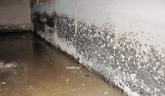 How To Detect Mold On Walls